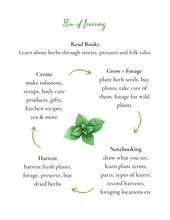 Load image into Gallery viewer, Kid's Herb Study- Grow, Forage, Make