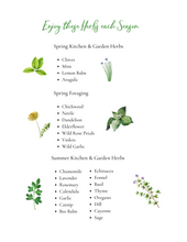 Load image into Gallery viewer, Kid's Herb Study- Grow, Forage, Make