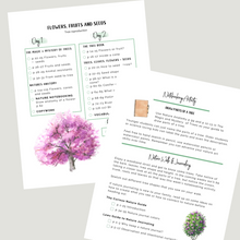 Load image into Gallery viewer, Botany Unit 1: Forest Biomes and Trees