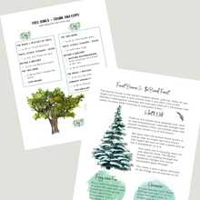 Load image into Gallery viewer, Botany Unit 1: Forest Biomes and Trees