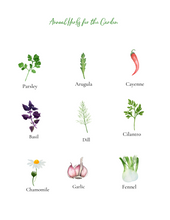 Load image into Gallery viewer, Kid's Herb Study- Grow, Forage, Make