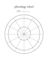 Load image into Gallery viewer, Nature Journal for Kids
