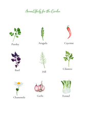 Load image into Gallery viewer, Kid&#39;s Herb Study- Grow, Forage, Make
