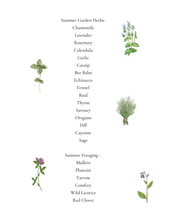 Load image into Gallery viewer, Kid's Herb Study- Grow, Forage, Make
