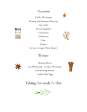 Load image into Gallery viewer, Kid's Herb Study- Grow, Forage, Make
