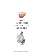 Load image into Gallery viewer, Chick Hatching Sheet
