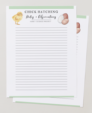Load image into Gallery viewer, Chick Hatching Sheet
