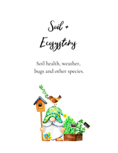 Load image into Gallery viewer, The Homeschool Garden: Math and Science Activities for Kids
