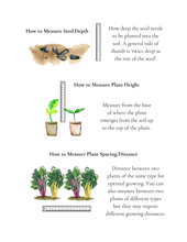 Load image into Gallery viewer, The Homeschool Garden: Math and Science Activities for Kids
